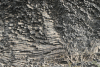 Close-up Column Basalt Rock