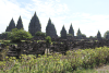 View Prambanan Complex Largest