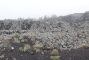 Lichen Covered Lava Flow