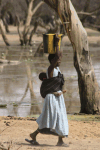 Carrying Water Back Home