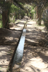 Irrigation Channel Oasis