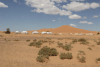 Large Desert Camp