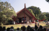 Celebration Anniversary Treaty Waitangi