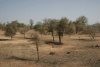 Arid Landscape Dry Season