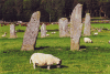 Two Rows Standing Stones